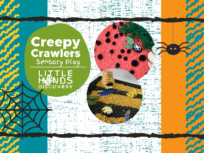 Kidcreate Studio - Eden Prairie. Creepy Crawlies Sensory Play (12 months-6 years)